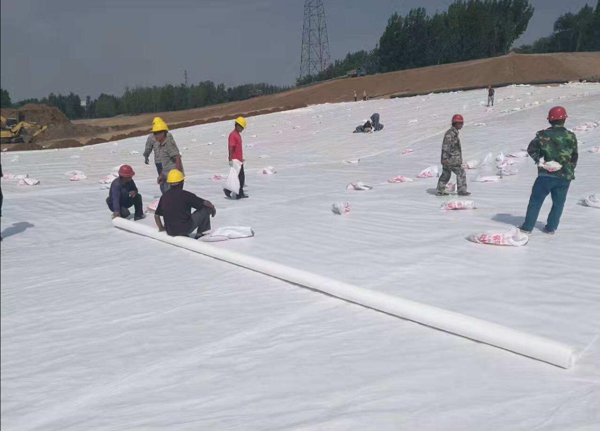 麻豆最新网址的功能