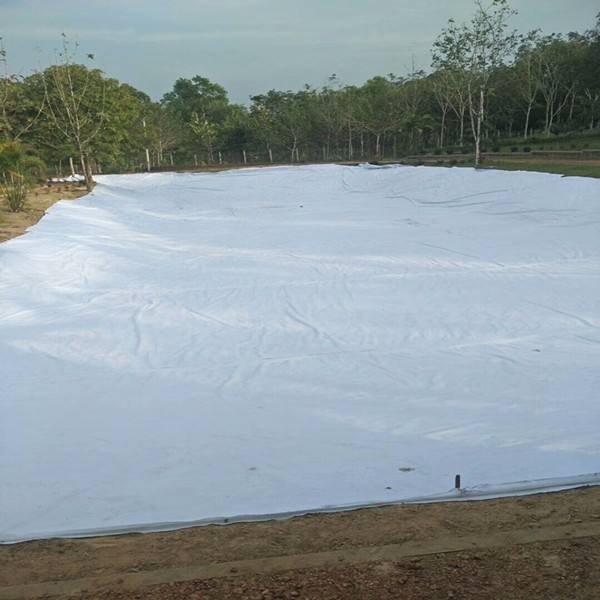 公路养护  沥青道路专用麻豆最新网址