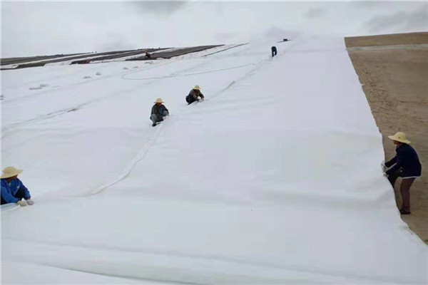 破损的麻豆最新网址怎样修补最好呢？