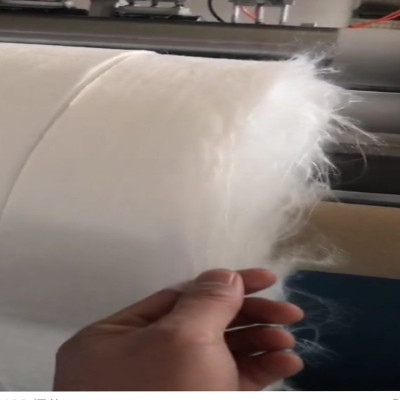 PET长丝麻豆最新网址